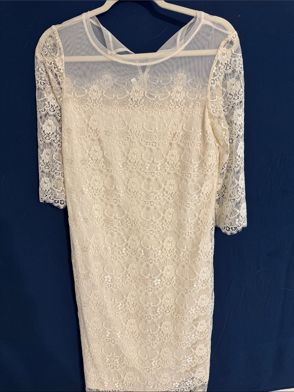Max & Cleo Ivory Lace Dress